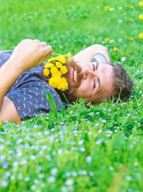 Spa ve sağlıklı yaşam konsepti. Sakallı adam karahindiba çiçekli çayır, çimen arka plan üzerinde yatıyordu. Hippi sakal rahatlatıcı dandelions buket. Sakallı yüzü gülen üzerinde zevk doğa