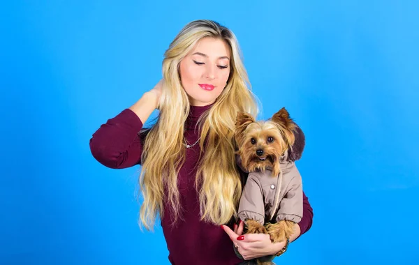 Pet supplies. Dressing dog for cold weather. Which dog breeds should wear coats. Woman carry yorkshire terrier. Dogs need clothes. Girl adorable blonde hug little dog in coat. Apparel and accessories