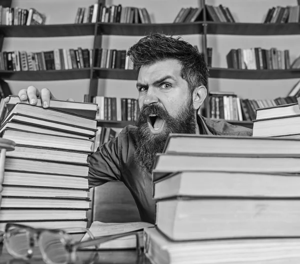 Profesor o estudiante con barba se sienta en la mesa con gafas, desenfocado. Un concepto científico loco. Hombre gritando cara entre montones de libros, mientras estudia en la biblioteca, estanterías en el fondo —  Fotos de Stock