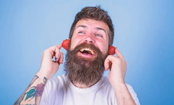 Concept de succès d'été. Homme barbu hipster oreilles de fraise mûres rouges comme écouteurs. Top des radios estivales. Guy profiter du son juteux de la musique de la chanson d'été. Barbe Hipster écouter de la musique écouteurs fraise — Photo