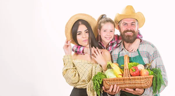 Os pais e a filha celebram a colheita. Conceito de festival de colheita. Agricultores familiares jardineiros legumes colheita isolado fundo branco. Agricultores familiares rústicos orgulhosos da colheita de outono. Crescido com amor — Fotografia de Stock