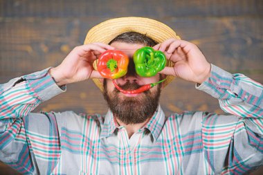 Eğleniyor çiftçi ahşap arka plan. Adam tutun biber hasat olarak komik yüz buruşturma. Acı ve tatlı biber gülümseme ve göz olarak. Çiftçi tutun biber yüz önünde sakallı. Biber hasat kavramı.