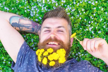 Gevşeme kavramı. Dandelions sakal rahatlatıcı, üst görünümünde adamla. Mutlu yüz sakallı adam elini başının arkasında. Sakal karahindiba çiçeklerle sakallı adam çayır, çimen arka plan üzerinde yatıyordu