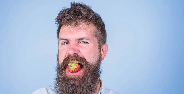 Man handsome hipster with long beard eating strawberry. Hipster cheerful enjoy juicy ripe red strawberry. Berry in mouth of bearded hipster. Raw food concept. Man enjoy raw fresh strawberry taste — Stock Photo, Image