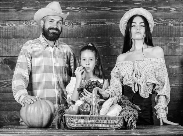 Family farmers with harvest wooden background. Parents and daughter celebrate harvest holiday pumpkin vegetables basket. Family rustic style farmers market with fall harvest. Harvest festival concept — Stock Photo, Image