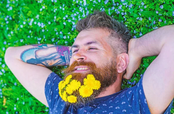 Homem barbudo com flores de dente de leão na barba jazia no prado, fundo de grama. Hipster com buquê de dentes-de-leão em barba relaxante. Homem com barba e bigode no rosto sorridente. Conceito de frescura — Fotografia de Stock