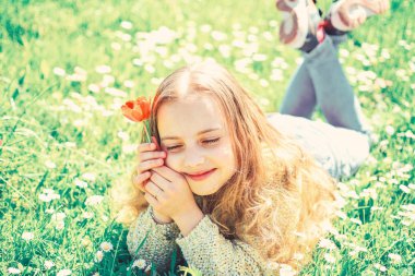 Kırmızı lale çiçek kız rüya gibi yüz tutan, aroma zevk. Bahar tatili kavramı. Çocuk zevk çayır papatya çiçekleri ile yatarken bahar güneşli gün. Çimen, grassplot arka plan üzerinde yatan kız