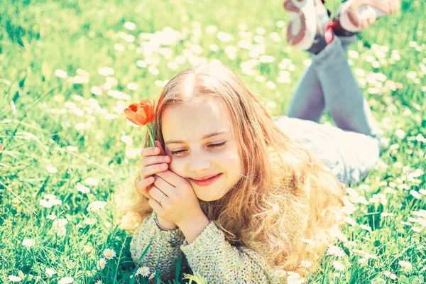 夢のような顔の女の子が赤いチューリップの花を保持して、香りをお楽しみください。春休みのコンセプトです。子供では、春の晴れた日、デイジーの花と草原で横になってお楽しみください。背景に草地の草の上に横たわる少女 — ストック写真