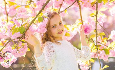 Defocused çiçekli sakura dalları arasında yüz duran gülümseyerek kıza. Uzun saçları açık, kiraz çiçeği arka plan üzerinde olan kız. Şirin çocuk Doğa bahar sabahı keyfini çıkarın. Bahar çiçekleri kavramı