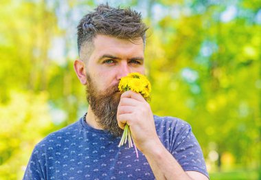 Romantik hipster buket, yeşil doğa arka plan, defocused yaptı. Aroma kavramı. Sakal ve bıyık dandelions sakin yüz Koklayıcılara buket üzerinde olan adam. Sakallı adam sarı dandelions tutar