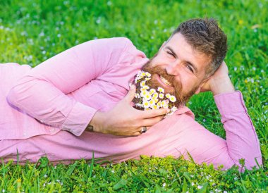 Sakallı yüzü gülen üzerinde doğa keyfini çıkarın. Erkeklik kavramı. Papatya çiçekler ile sakallı adam çayır üzerinde yatıyordu, yandan, çim arka plan yaslan. Hipster sakal papatya ile çekici görünüyor