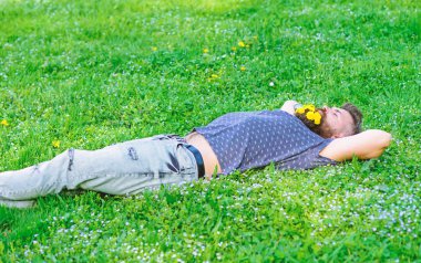 Sakal karahindiba çiçeklerle sakallı adam çayır, çimen arka plan üzerinde yatıyordu. Bahar kavramı. Sakallı yüzü uyku üzerinde bahar tadını çıkarın. Hipster sakal rahatlatıcı dandelions buket