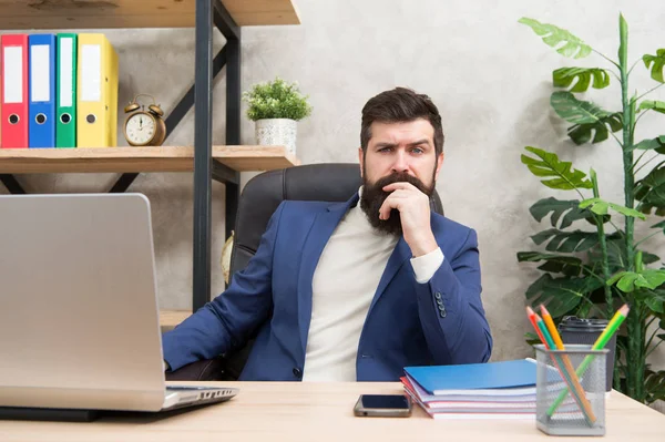 Concentration and focus. Man bearded boss sit office with laptop. Manager solving business problems. Businessman in charge of business solutions. Developing business strategy. Risky business