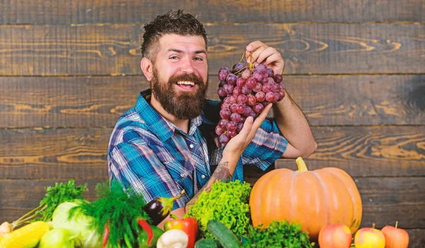 Agricoltore orgoglioso della raccolta di ortaggi e uva. Concetto di allevamento e raccolta. L'uomo barbuto tiene uva sfondo in legno. Agricoltore con raccolto casalingo in tavola. Ortaggi raccolta biologica — Foto Stock