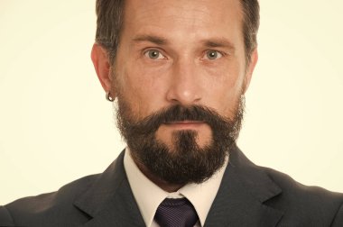 Olgun ve şık. Erkek yüzü sakallı ve bıyıklı, sakin. İş adamı klasik resmi kıyafetler modern stil detay küpeleri. İş adamları kıyafet yönetmeliği. İş biçimi görünümü