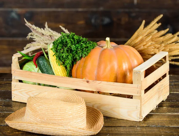 Compra verdure fresche fatte in casa. Concetto di negozio di alimentari. Solo dal giardino. Servizio di consegna verdure fresche da fattoria. Scatola o cestino raccolta verdure fondo in legno. Verdure di ottima qualità — Foto Stock