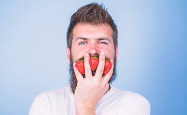 Karbonhidrat içeriği çilek. Çilek şeker düzeyleri için en güvenli meyve. Metabolik hastalık. Çoğunlukla karbonhidratlar sükroz fruktoz glikoz. Adam sakal hipster çilek parmak arka plan mavi