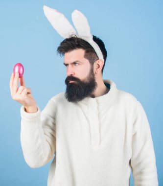Hipster sevimli tavşan uzun kulakları arka plan mavi. Paskalya tavşanı. Eğleniyor. Komik Tavşan sakal ve bıyık. Kutlama katılmak. Sırıtıyor adam giyim aptal tavşan kulakları sakallı. Paskalya sembolü kavramı