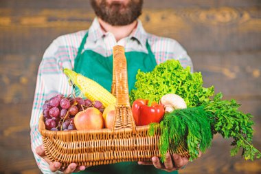 Hasır sepet içinde taze organik sebze. Taze sebze sunan çiftçi. Sepet içinde ev yapımı sebzeli çiftçi. Adam bahçıvan Eko sebze ahşap arka plan sunulması sakallı