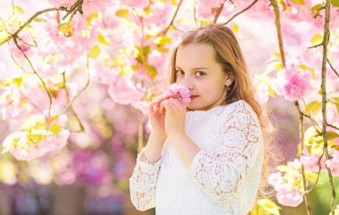 Yüz ayakta sakura çiçekler, defocused yakınındaki gülümseyerek kıza. Parfüm ve koku kavramı. Uzun saçları açık, kiraz çiçeği arka plan üzerinde olan kız. Şirin çocuk zevk sakura kokusu bahar gününde