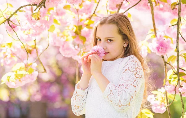 桜が咲き、デフォーカス近くに立っている顔を笑顔の女の子。香水、フレグランスのコンセプトです。背景に長い髪の屋外、桜の花を持つ少女。かわいい子は、春の日にさくらの香りをお楽しみください。 — ストック写真