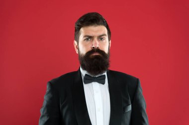 Smokin ve papyon sakallı adam. Resmi olay. sakallı adam Damat Düğün elbiseli sakallı. İşadamı özel smokin içinde. Formal giyim erkek moda. Sakallı hippi adam. Smokin sakallı damat