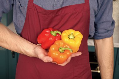 Taze biber sebze elinde Şef. Çeşitlilik malzemeler. Pik sezon satın alma daha lezzetli sebze olun. Mevsim sebzeleri maddeler başka bir seviyeye ortalama yemek alabilir