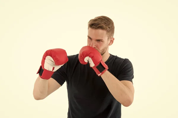 Full concentration. Sportsman concentrated training boxing gloves. Athlete concentrated face with sport gloves practice fighting skills, isolated white. Boxer handsome strict coach. Boxing concept — Stock Photo, Image
