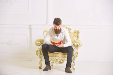 Sakal ve bıyık oturur koltuk ve kitap okumak, beyaz duvar arka plan üzerinde olan adam. Bilim adamı, Profesör ciddi yüz edebiyat araştırıyor. Bilgi kavramı. Maço akıllı kitap ile boş zaman harcıyor