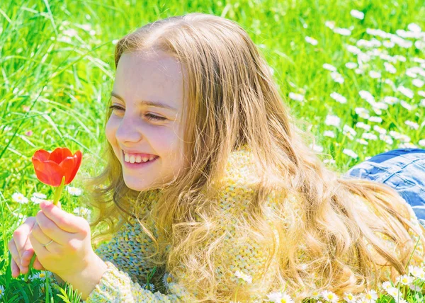 子供は、草原に横たわっている間チューリップの香りをお楽しみください。幸せそうな顔の女の子は、日当たりの良い春の日の赤いチューリップの花を保持します。春の利益概念。草地、草背景に横になっている長い髪の少女 — ストック写真