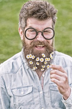 Uzun sakalını parti aksesuarları üzerinden kağıt gözlük tutan küçük beyaz çiçeklerle mutlu hipster ayarlayın. Gülümseyen adam yeşil çayır, Bahar Tazeliği kavramı sıcak güneşli gün zevk