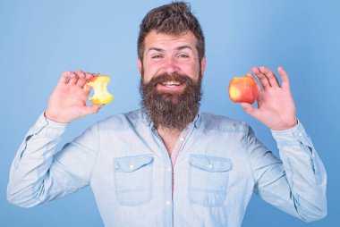 Elma her gün yemek. Meyve sağlıklı yemek saati her zaman iyi bir fikir. Adam yakışıklı hipster uzun sakal olgun elma ve neredeyse yenmiş elma güdük tutar. Mükemmel ve kavramı kusur. Adam diyet beslenme meyve yiyor