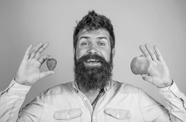 Yaz aylarında faydaları. Sakallı adam gülen elma ve çilek eller mavi arka planda tutar. Meyve ve meyve eller sağlıklı alternatif. Vitamini meyve beslenme kavramı. Vitamini diyet sağlık