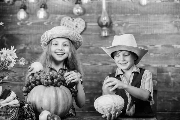 Dzieci dziewczynka chłopiec nosić kapelusz świętować Dożynki w stylu rustykalnym. Festiwal szkolnej. Świętować Dożynki. Dzieci w pobliżu drewniane tło warzywa. Szkoła podstawowa upadku idei festiwalu — Zdjęcie stockowe