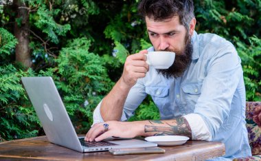 Tatil Planlama. Online kitap daire. Adam hipster oturup açık havada internet'te sörf ve kahve içme laptop ile sakallı. Adam daire arıyor. Tatil ya da tatil için daire bulmak