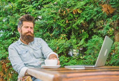 Sakallı adam hipster yapmak için kahve içmek duraklatmak ve dizüstü bilgisayar ile oturup süre düşünüyorum. Adam kahve rahatlatıcı Teras yeşil dallar arka plan içer. Hoş bir an. Düşünmek için zaman ayırın. Dinlenmek için mola