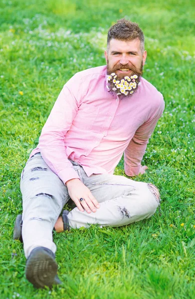 Mann mit Bart und lächelndem Gesicht genießt das Leben ohne Allergie. Frühjahrsallergiekonzept. Bärtiger Mann mit Gänseblümchenblümchen sitzt auf dem Grasboden, lehnt sich an die Hand, Grashintergrund. Hipster mit Gänseblümchen sieht glücklich aus — Stockfoto
