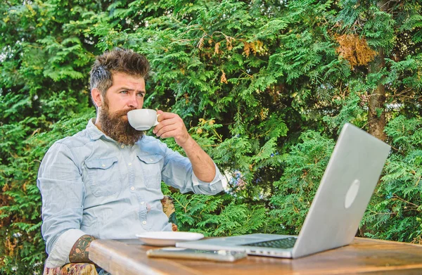 Guy drinks coffee relaxing terrace branches background. Man bearded hipster make pause for drink coffee and relax while sit with laptop. Take moment to enjoy life. Aroma cappuccino. Pleasant moment