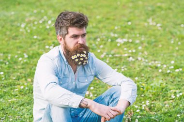Sakalını yeşil çim sahada oturan küçük beyaz yaprakları düşünceli yakışıklı adam. Hippi yeşil çayır arka plan açık havada, bir şey hakkında düşünüyor. Doğa ve bahar zaman kavramı ile birlik