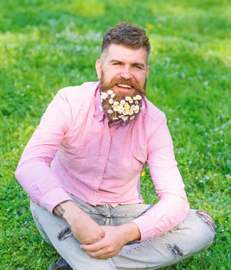 Bahar Anti kavramı. Hipster papatya ile mutlu görünüyor. Papatya çiçekler ile sakallı adam grassplot, çim arka plan üzerinde oturur. Sakallı gülümseyen yüzünde zevk Anti olmadan hayat