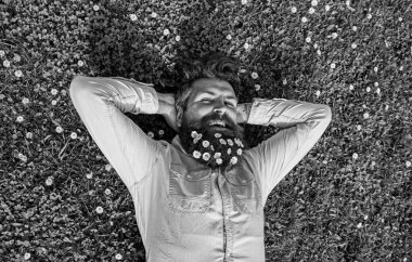 Gülümseyen yüzü üzerinde hipster çimenlerin üzerinde üstten görünüm bırakır. Sakallı ve bıyıklı bahar, yeşil çayır arka plan sahiptir. Rahatlatıcı kavramı. Adam güzel sakal papatya veya papatya çiçekleri ile görünüyor.
