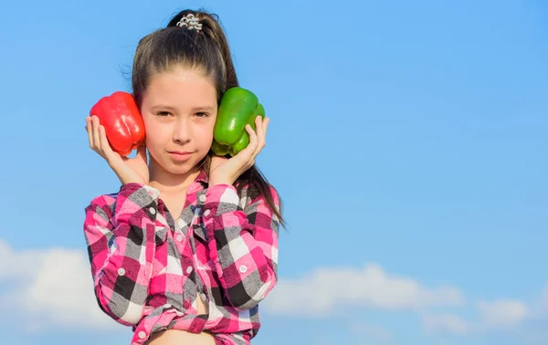 Niño presentando tipos de pimienta. Cosecha de otoño verduras de cosecha propia. ¿Qué pimienta elegirías? Concepto vegetariano. Niña sostener rojo y verde pimientos cielo fondo. Kid hold cosecha de pimienta madura —  Fotos de Stock