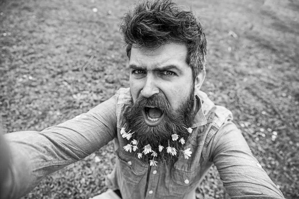 Concetto di bellezza naturale. L'uomo con la barba gode di primavera, sfondo prato verde. Hipster sulla faccia gridare siede su erba, sfocato. Ragazzo con fiori di celandine minori in barba scattare foto selfie — Foto Stock