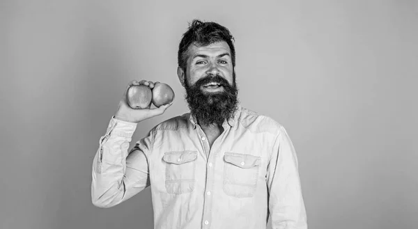 Maçãs compostos antioxidantes responsáveis benefícios para a saúde. Escolha nutricional. Maçãs fruta tipo popular no mundo. Homem com barba hipster segurar fruta de maçã na mão. Factos nutricionais e benefícios para a saúde — Fotografia de Stock