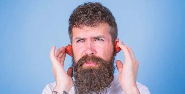 Nyári felső rádiós diagramra. Ember szakállas csípő vörös érett eper fül-fejhallgató. Nyári hit fogalmát. Srác élvezheti a lédús hang nyári hit song zene. Csípő szakáll hallgatni zene eper fülhallgató — Stock Fotó