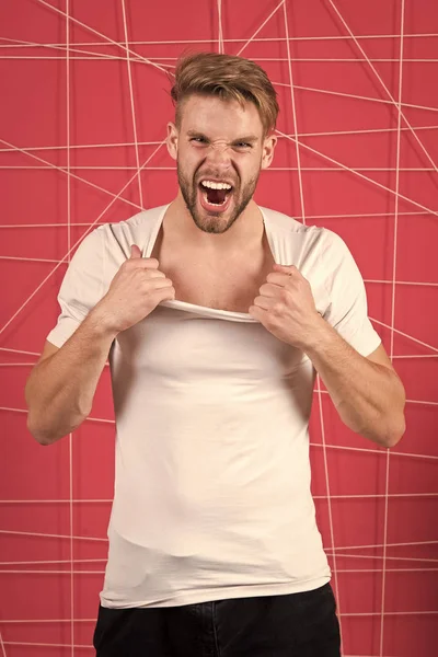 Guy bearded attractive tearing off shirt. Masculinity concept. Man with beard unshaven guy looks handsome and well groomed. Man with bristle shouting aggressive face undressing, pink background