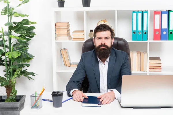 Agencia de abogados. Hombre barbudo jefe hipster sentarse en el interior de la oficina sillón de cuero. Jefe en el trabajo. Gerente de ropa formal estilo corporativo de trabajo. Concepto de gente de negocios. Jefe ocupado en la oficina — Foto de Stock