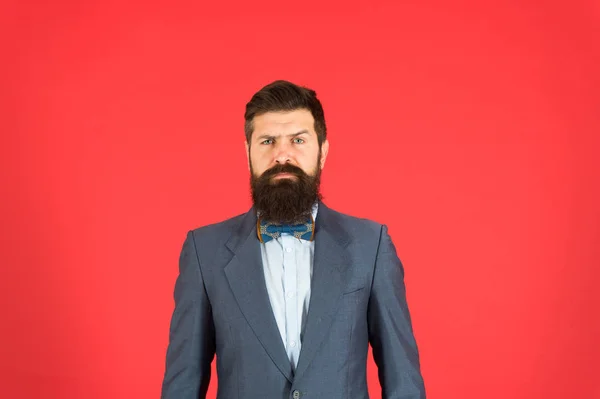 Classy style. Man bearded hipster wear classic suit outfit. Formal outfit. Take good care of suit. Elegancy and male style. Businessman or host fashionable outfit on red background. Fashion concept