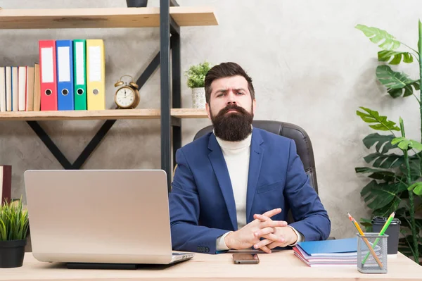 Ceo and executive director. Man bearded boss sit office laptop. Manager solving business problems. Businessman in charge successful business solutions. Developing business strategy. Risky business