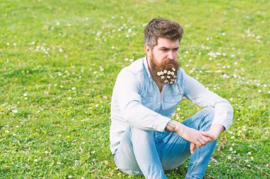 Kır çiçekleri ile çimenli alan rahatlatıcı sakin yüzü olan adam. Papatya veya papatya çiçek yeşil çayır üzerinde oturan sakalını içinde yakışıklı adam. Bahar tazeliği kavramı